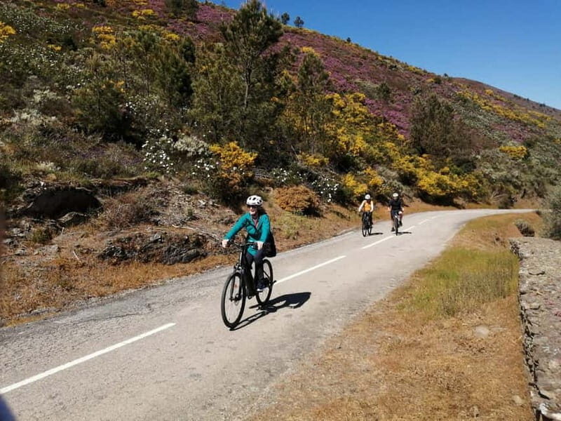 e-Bike Through Douro Valley Wine Region for Half Day Tour - Final Thoughts: Who Will Love This Tour?
