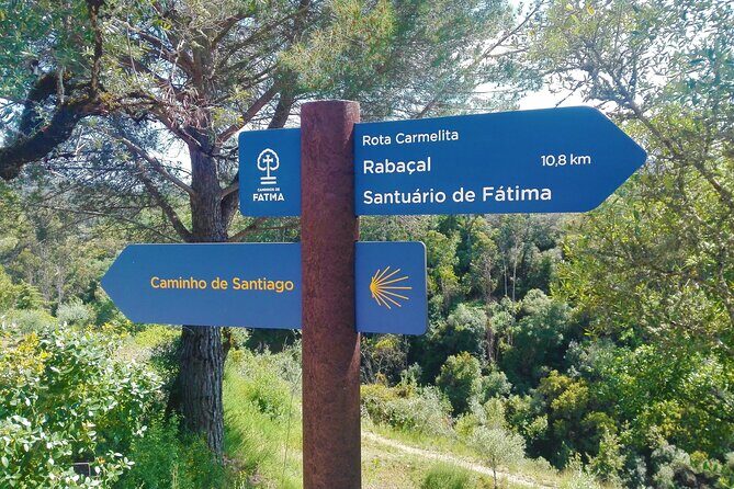 E-bike to Conimbriga Roman Ruins, from Coimbra - What to Expect on the Day