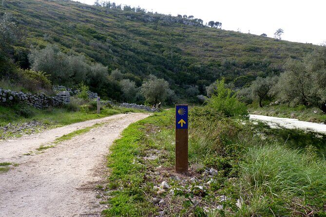 E-bike to Conimbriga Roman Ruins, from Coimbra - Final Thoughts