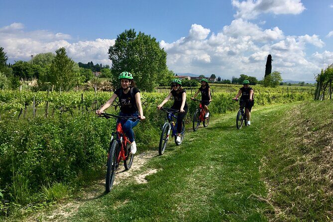 E-Bike Tour and wine tasting in Lazise Countryside - Key Points