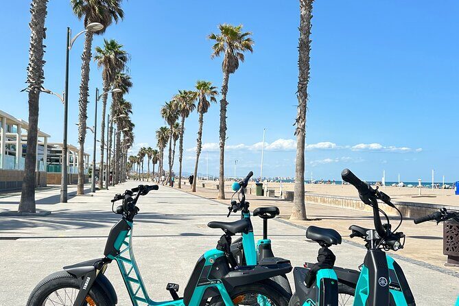 E-bike Tour: Beaches, & City of Arts and Sciences (From 30,00) - Frequently Asked Questions