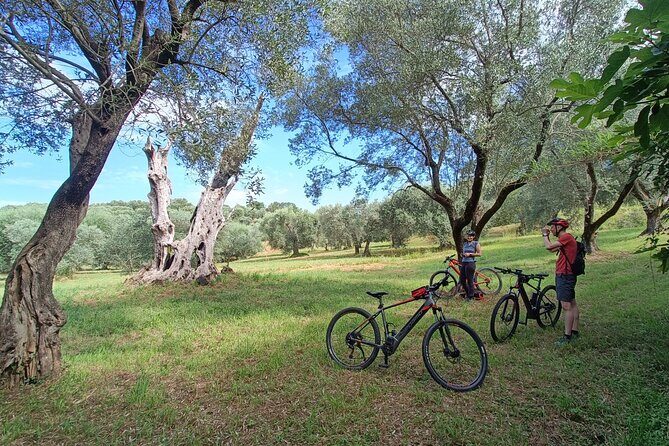 E-Bike Tour fortresses and mountains near the Free Baths of Saturnia - Analyzing the Value