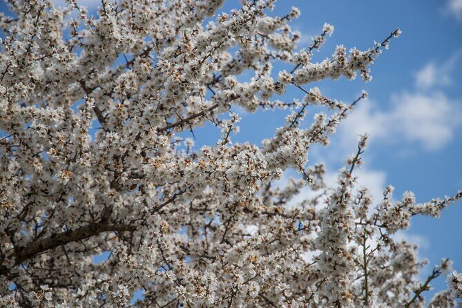 e-bike tour from Polignano a Mare to the fishing village S. Vito - Final Thoughts