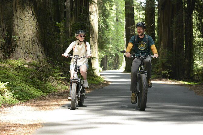 E-Bike Tour in the Avenue of the Giants Redwood Forests - 4 Hours - An Immersive 4-Hour Redwood Adventure