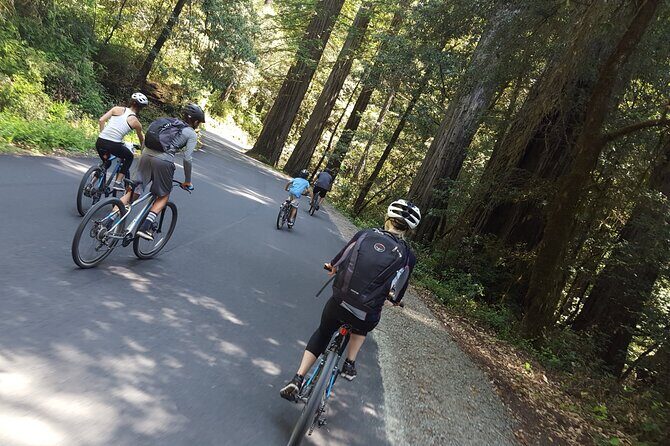 E-Bike Tour in the Avenue of the Giants Redwood Forests - 4 Hours - Who Will Love This Tour?