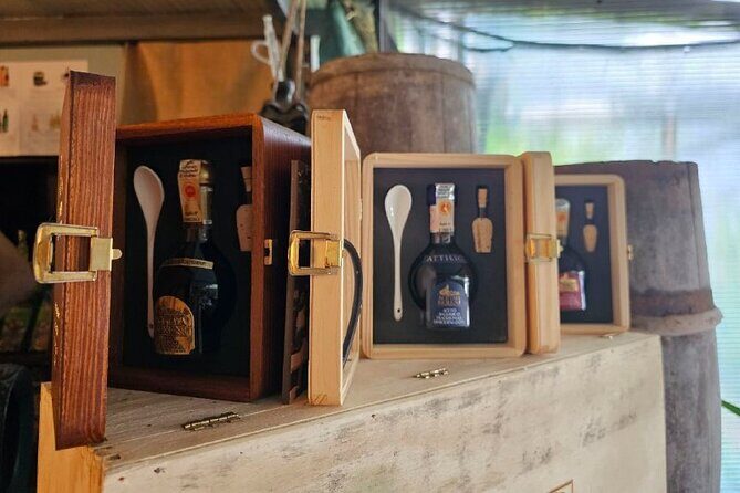 E-Bike Tour in the Sorrento Peninsula and Visit to Acetaia - Exploring the Sorrento Peninsula on Two Wheels