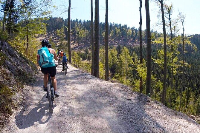 E-bike tour kofja Loka - Who Will Love This Tour?