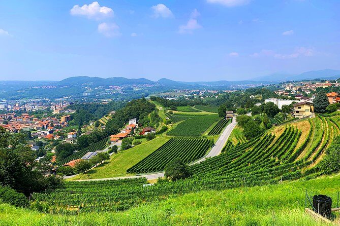 E-Bike Tour Lake Como and Swiss Vineyards - An In-Depth Look at the Lake Como and Swiss Vineyards E-Bike Tour