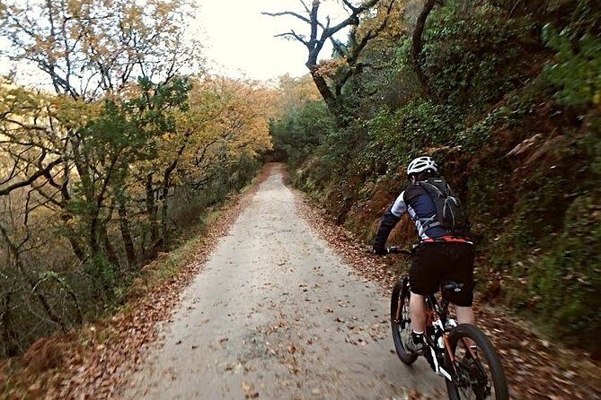 E-bike Tour: Peneda Geres National Park - Serra Amarela - The Sum Up