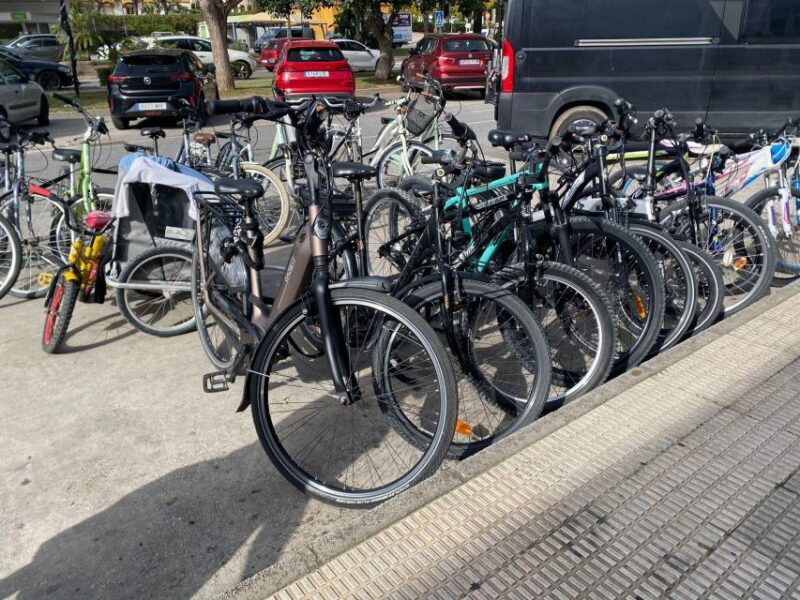 E-Bike Tour through Marbella/ Puerto Banús and San Pedro - Exploring Marbella on Two Wheels: What to Expect