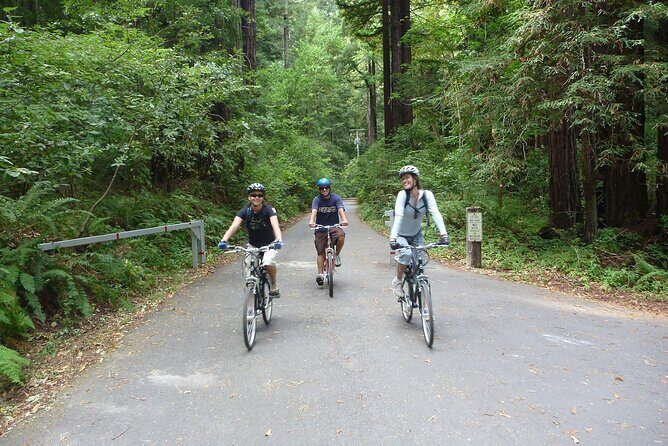 E.Bike Tours around Heidelberg - Exploring Heidelberg on Two Wheels: The Details