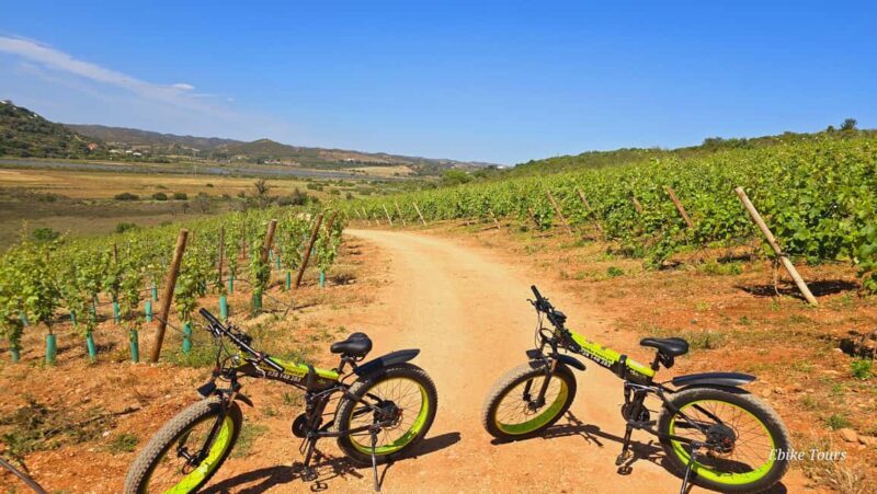 E-bike Tours Carvoeiro - Silves Tour - The Experience in Detail