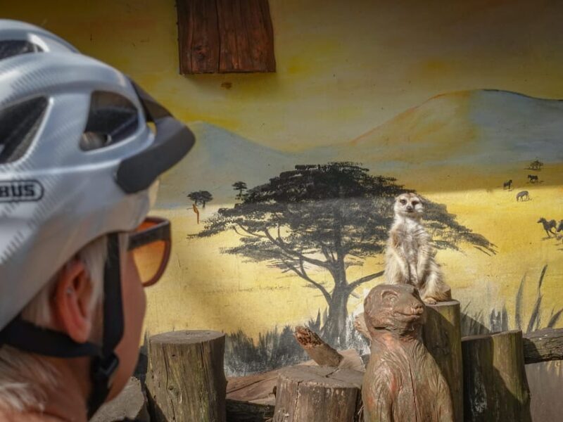 E-Mountain Bike Adventure in the Danube Bend - An In-Depth Look at the E-Mountain Bike in the Danube Bend Tour