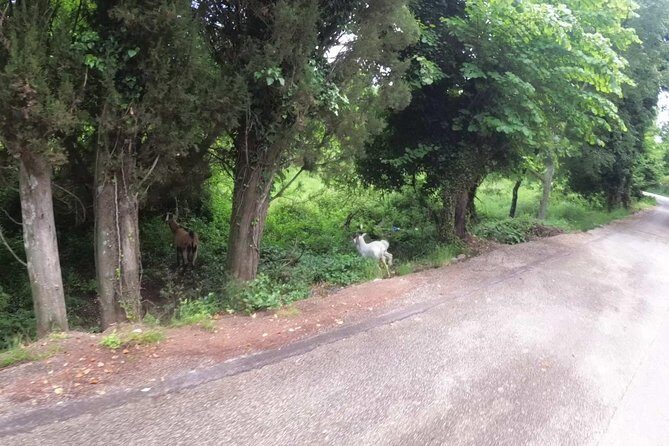 e-MTB Tour - Analipsis Area [42Km - 26Mi] - The Itinerary Breakdown