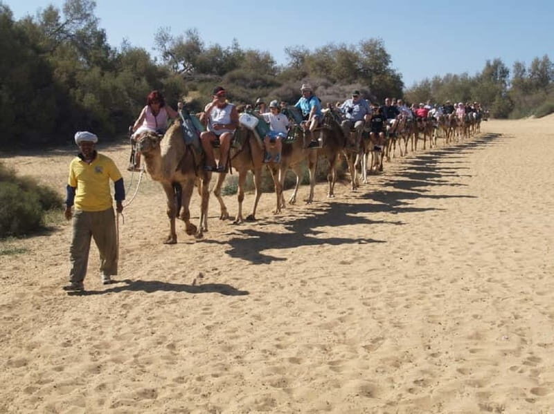 e-Scooter City Tour + Camel Ride inside Maspalomas Dunes - A Closer Look at the Experience