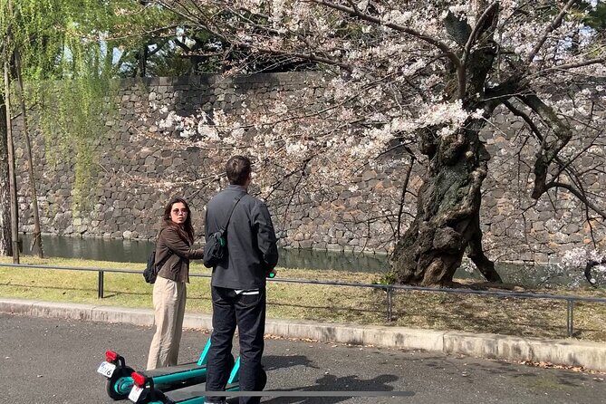 E-scooter Tour with a Private Guide Tokyo - Key Points