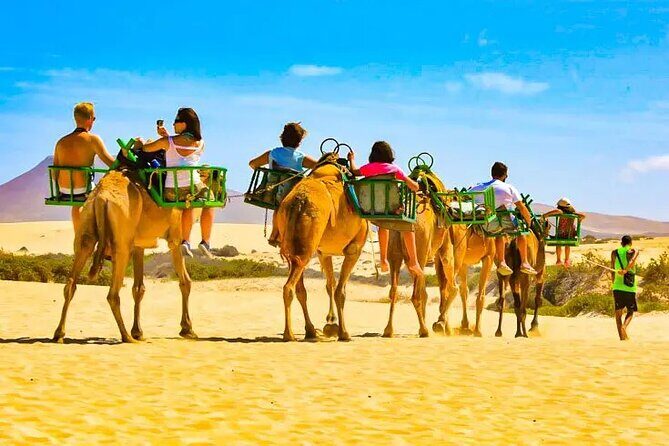 E-Scooter Tour with Camel ride : Maspalomas Dunes and main points - In-Depth Review of the E-Scooter and Camel Tour