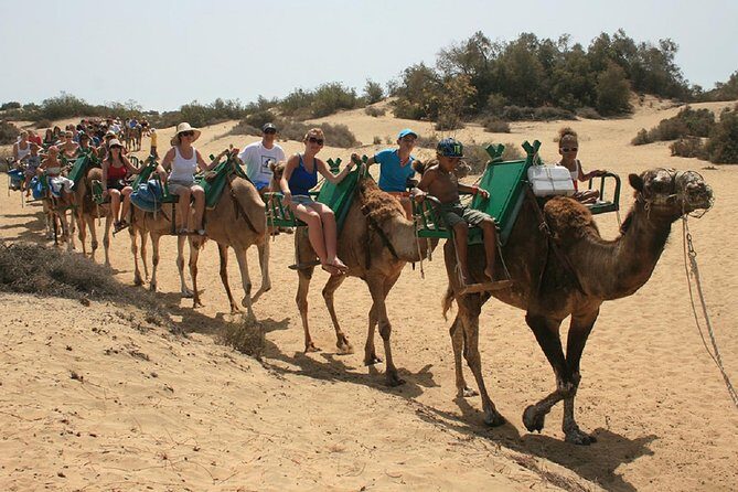 E-Scooter Tour with Camel ride : Maspalomas Dunes and main points - Frequently Asked Questions