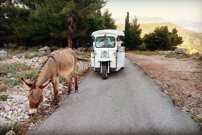E-Tuk Tuk Tour in Dubrovnik - A Deep Dive into the Dubrovnik E-Tuk Tuk Experience