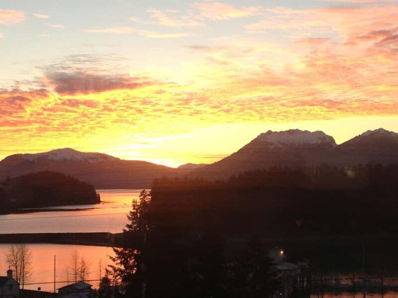 Ear Mountain Charters tours: whale watching or fishing - Authentic Experiences from Reviews