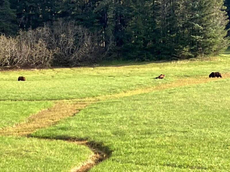 Ear Mountain Charters tours: whale watching or fishing - FAQ