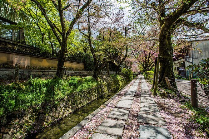 Early Bird E-biking through East Kyoto - The Sum Up