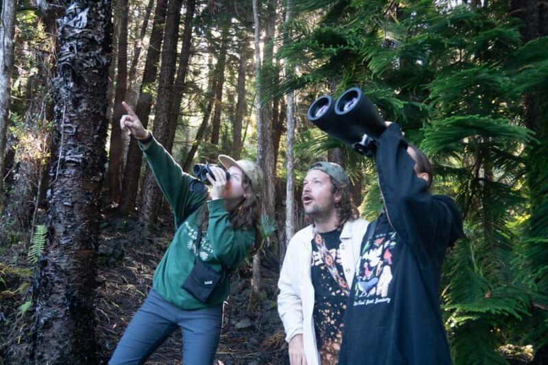 Early Bird Guided Birding Tour - Kailua-Kona, HI - The Setting: Kona Cloud Forest Sanctuary