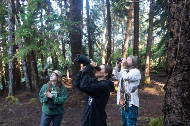 Early Bird Guided Birding Tour - Kailua-Kona, HI - The Experience from the Reviews