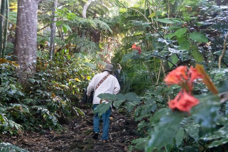 Early Bird Guided Birding Tour - Kailua-Kona, HI - FAQ