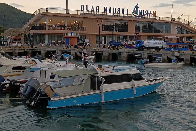 Early Bird Speedboat Group Tour : Explore Komodo Ahead of Crowds - Practical Aspects and Value