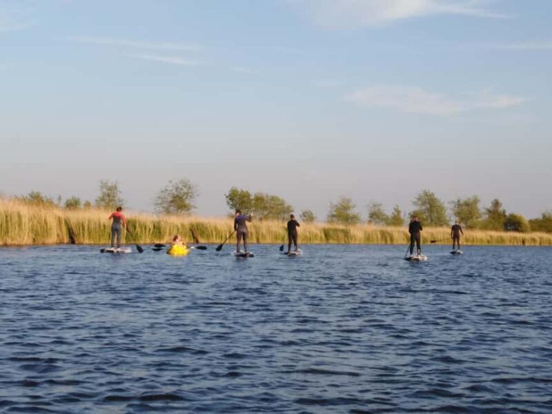 Early Bird Standup Paddletour to Fishing Harbours - What to Expect on the Tour