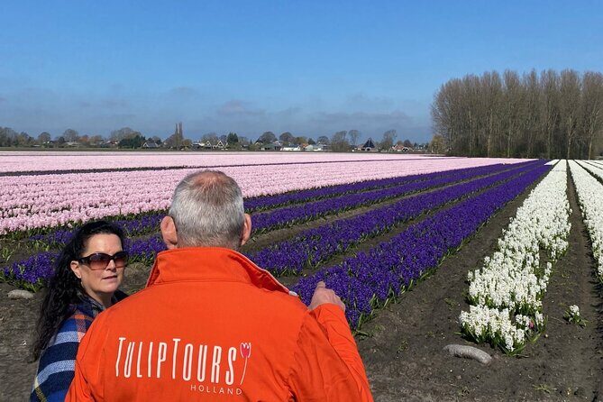 Early Flower fields with Lunch & Windmill Guided Day Tour - A Closer Look at the Tour Experience