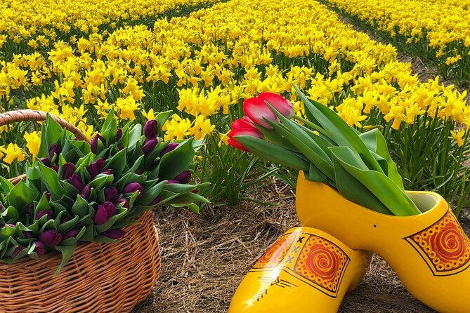 Early Flower fields with Lunch & Windmill Guided Day Tour - FAQ