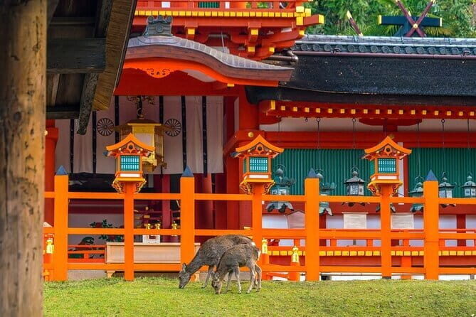 Early Half Day to Kyoto Highlights - The Sum Up