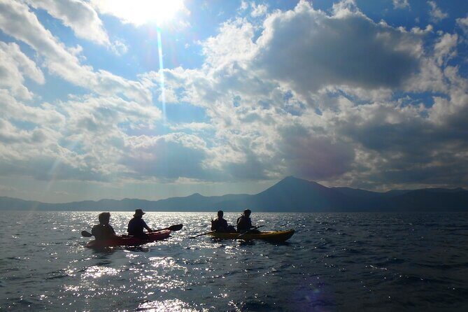 Early Morning Premium Private Clear-Bottom Kayak Tour - An In-Depth Look at the Tour