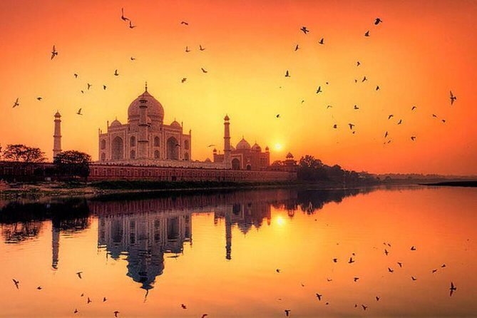 Early Morning Sunrise Taj Mahal and Agra Fort From Delhi By Express Highway - Who Will Love This Tour?