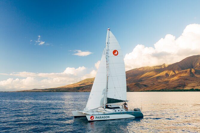 Early Sail with the Whales from Ma'alaea Harbor - The Sum Up