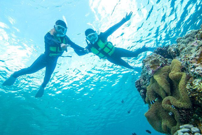 Easily set sail by boat! / Blue cave snorkel - Key Points