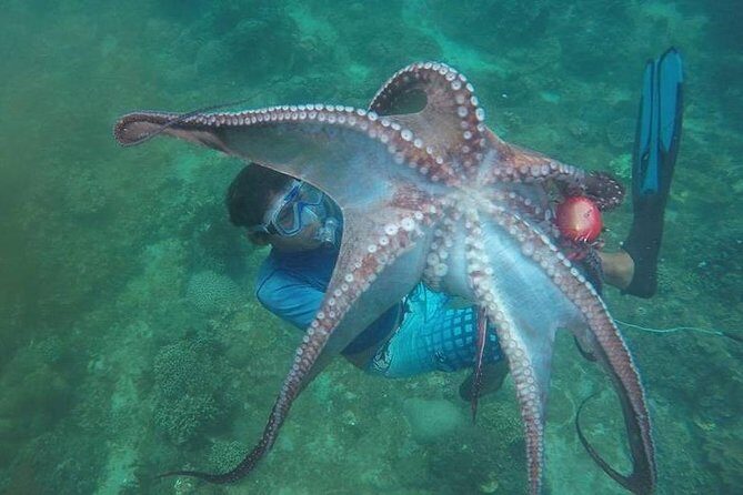 East Bali Spear Or Line Fishing Tour At Virgin Beach - East Bali Spear Or Line Fishing Tour At Virgin Beach: A Deep Dive