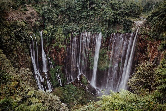 East Java Tours Package 4D 3N (Volcano - Waterfalls Photography) - Cost and Value