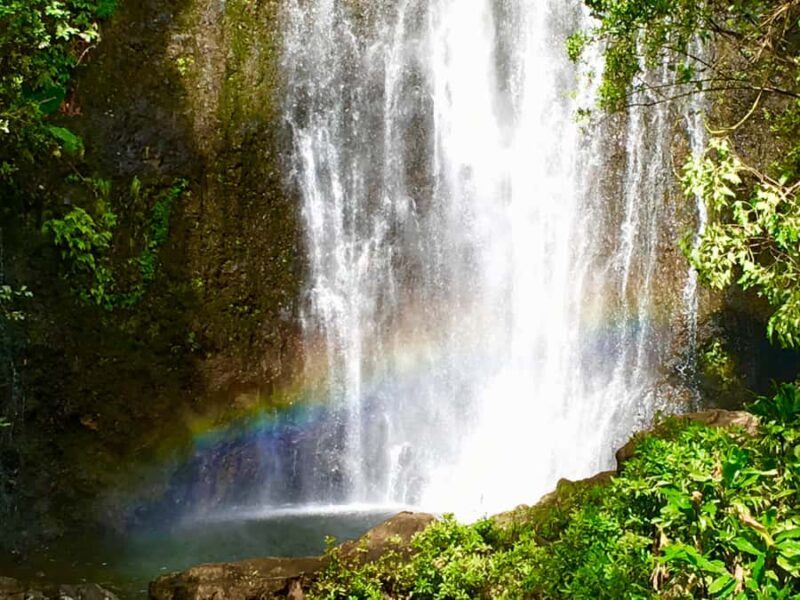 East Maui: Private Rainforest Tour or Road to Hana Loop Tour - Key Points