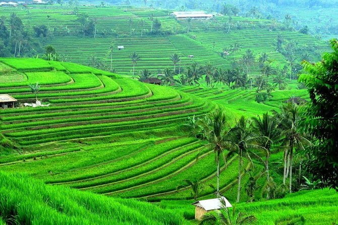 East Nusa Penida Island Beach Tour - From Bali Island - The Final Word: Who Will Love This Tour?