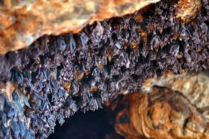 East of Bali - Karangasem Tour - FAQs