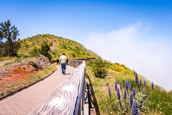 East of Madeira | Full Day 4x4 Tour - The Sum Up