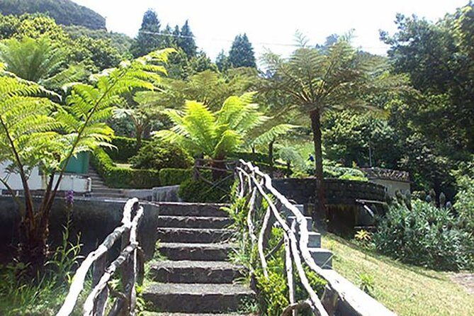 EAST: Pico do Arieiro & Laurissilva Forest - Full Day tour - The Sum Up
