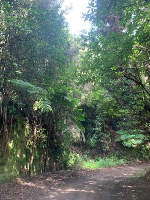 East Tour: Open Roof jeep tour to East Madeira - Santana - FAQ
