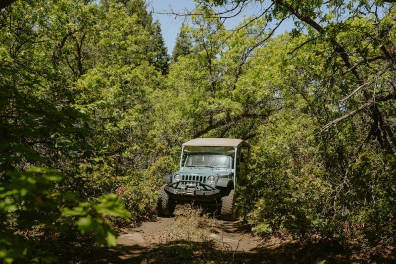 East Zion: Brushy Cove Jeep Adventure - Who Will Benefit Most from this Tour?