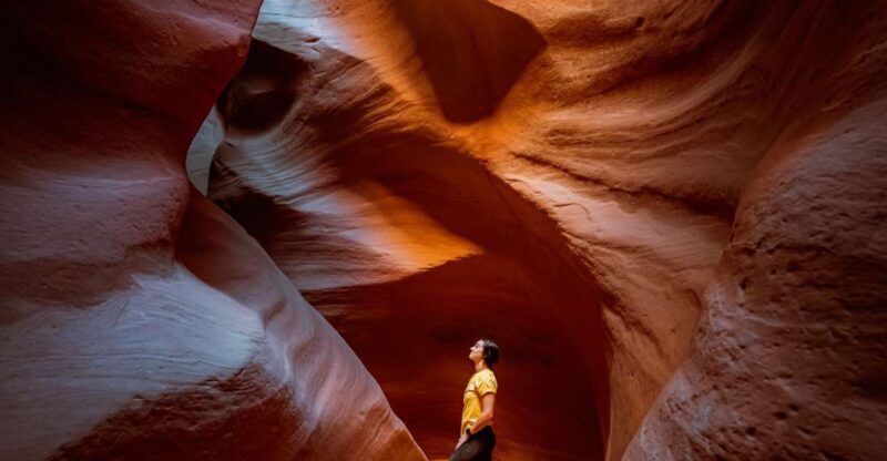 East Zion: Crimson Slot Canyon Exploration and UTV Tour - What Makes This Tour Stand Out?