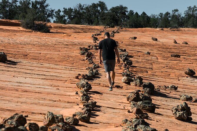 East Zion Outback UTV Tour with Licensed Guide - Who Will Love This Tour?
