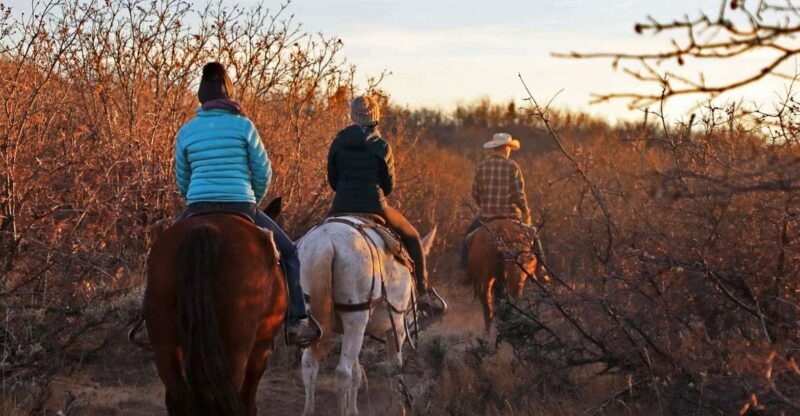 East Zion: Pine Knoll Horseback Tour - What to Expect from the Pine Knoll Horseback Tour